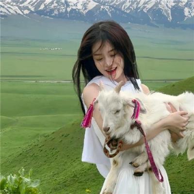 铁证悬案 第五季