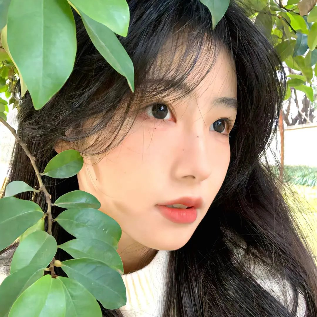 老虎来喝下午茶